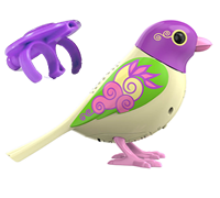 A light yellow and purple bird with a purple whistle.