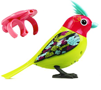 A red and yellow DigiBird with a spikey tuft on it's head next to a pink whistle.