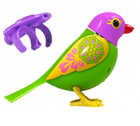 A purple and green birds with a purple whistle.