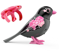 A black and pink DigiBird with a spider web on it's wing next to a pink whistle.