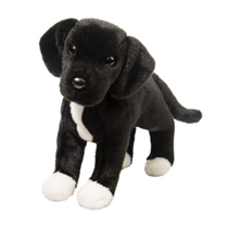 A black dog plush with white feet and chest.