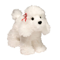 A white poodle with a little red bow.